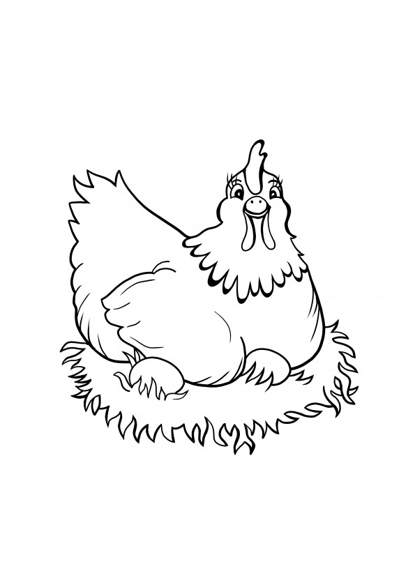 Desenho de impressão e colorir de mãe galinha chocando de graça