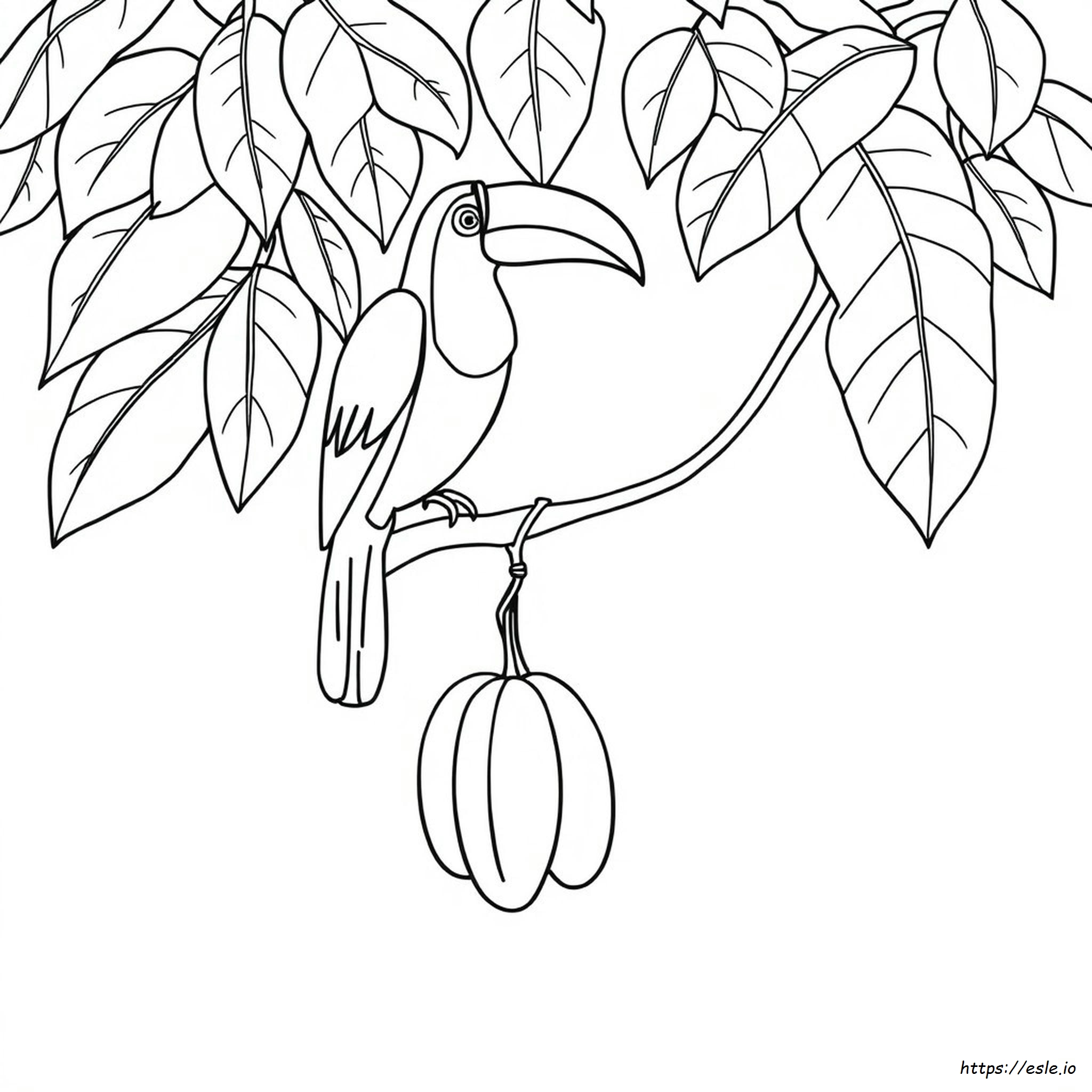 Toucan Coloring Picture