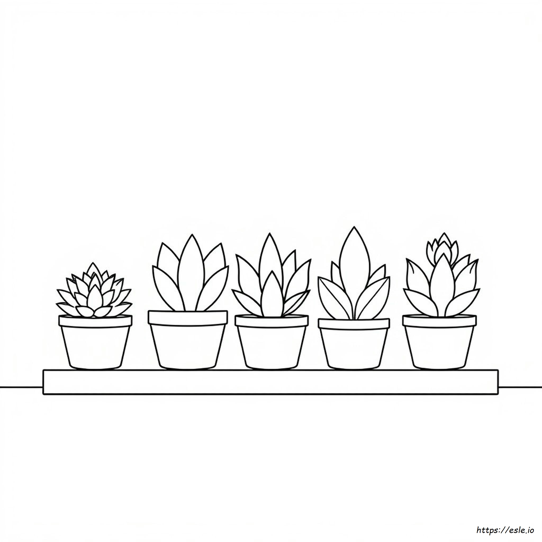 Eenvoudige Succulent Kleurplaat kleurplaat
