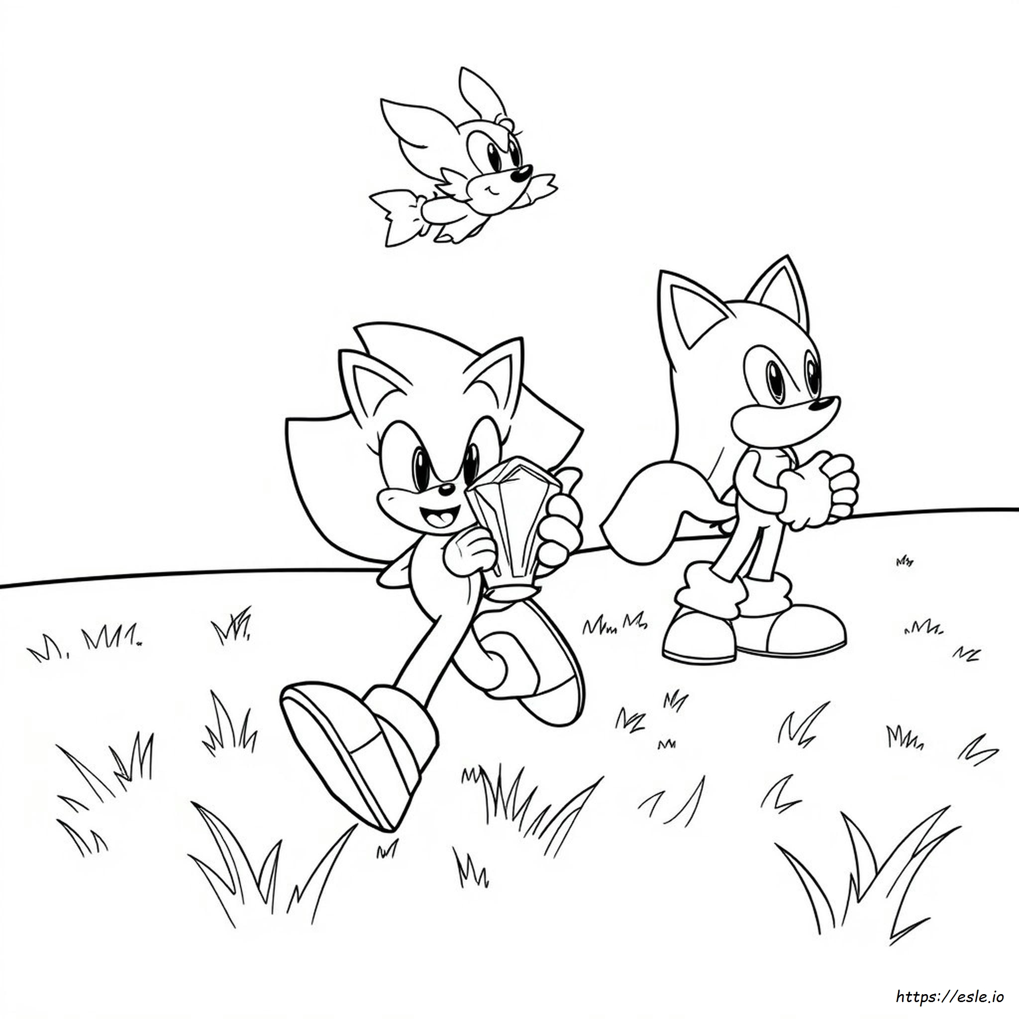Kleurplaten Sonic En Zijn Vrienden Om In Te Kleuren kleurplaat
