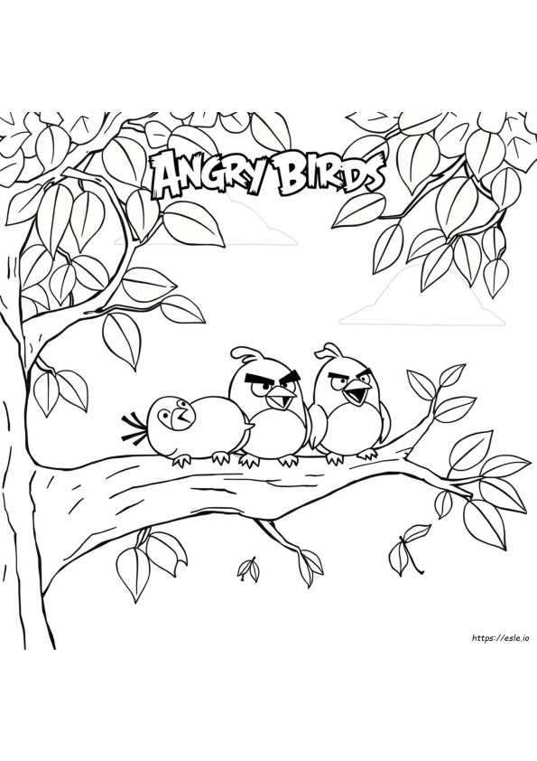 Kolorowanki Angry Birds Do Drukuj Za Darmo