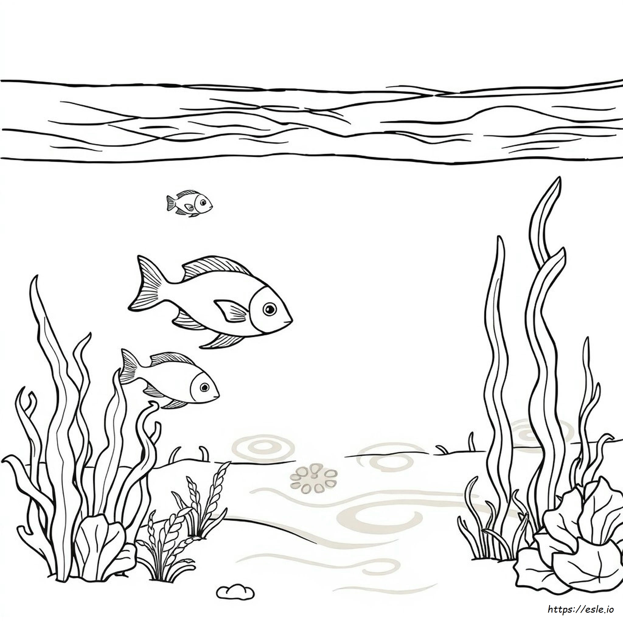 Under The Water Coloring Pages