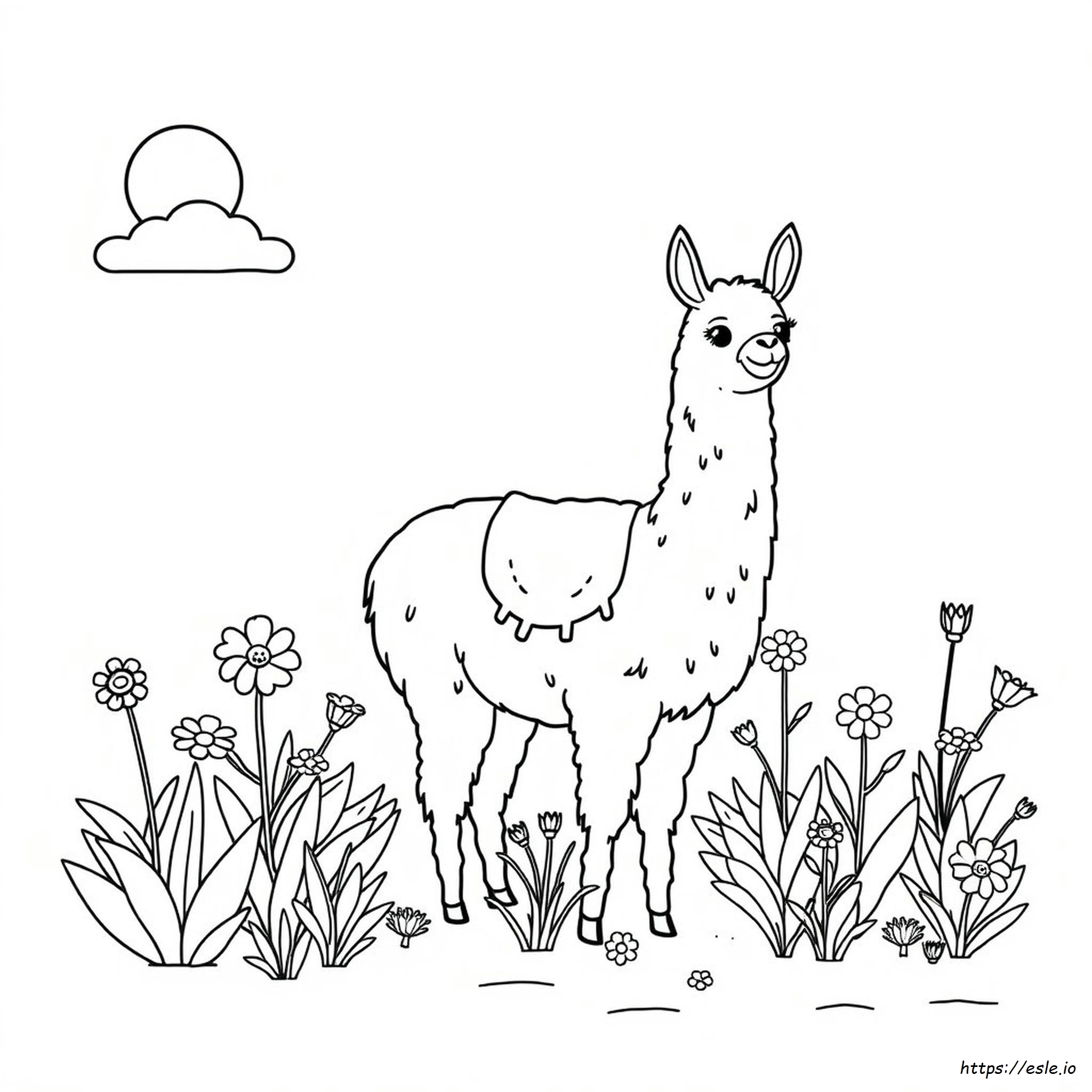 Llama Para Colorear Imprimible Gratis