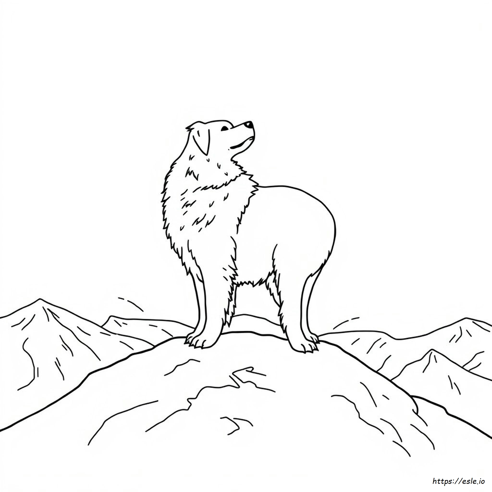 Kunnen Leonbergers Kleuren Hebben kleurplaat