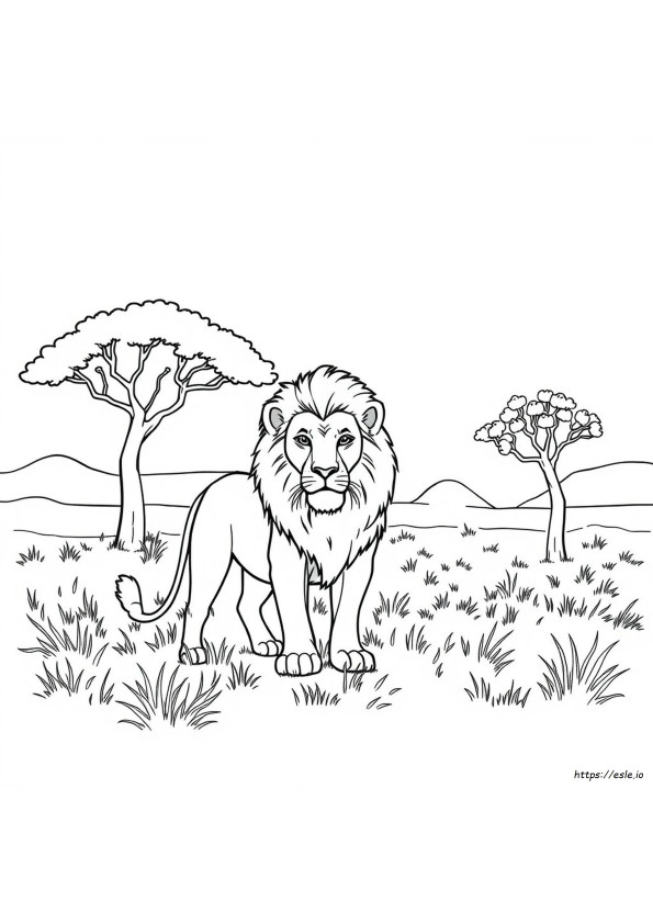 Coloriages Animaux Africains Réalistes À Imprimer