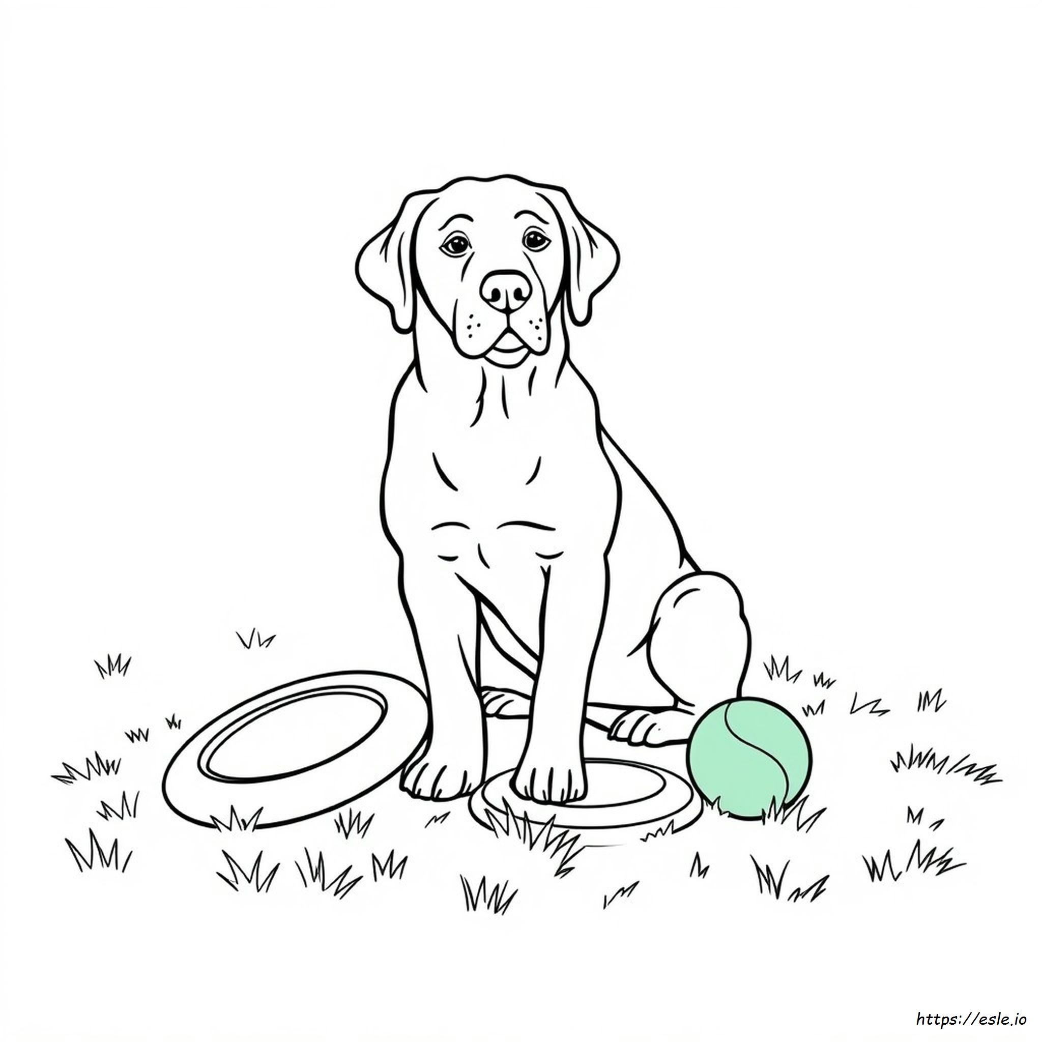 Kostenlose Labrador Retriever Malvorlagen Zum Ausdrucken