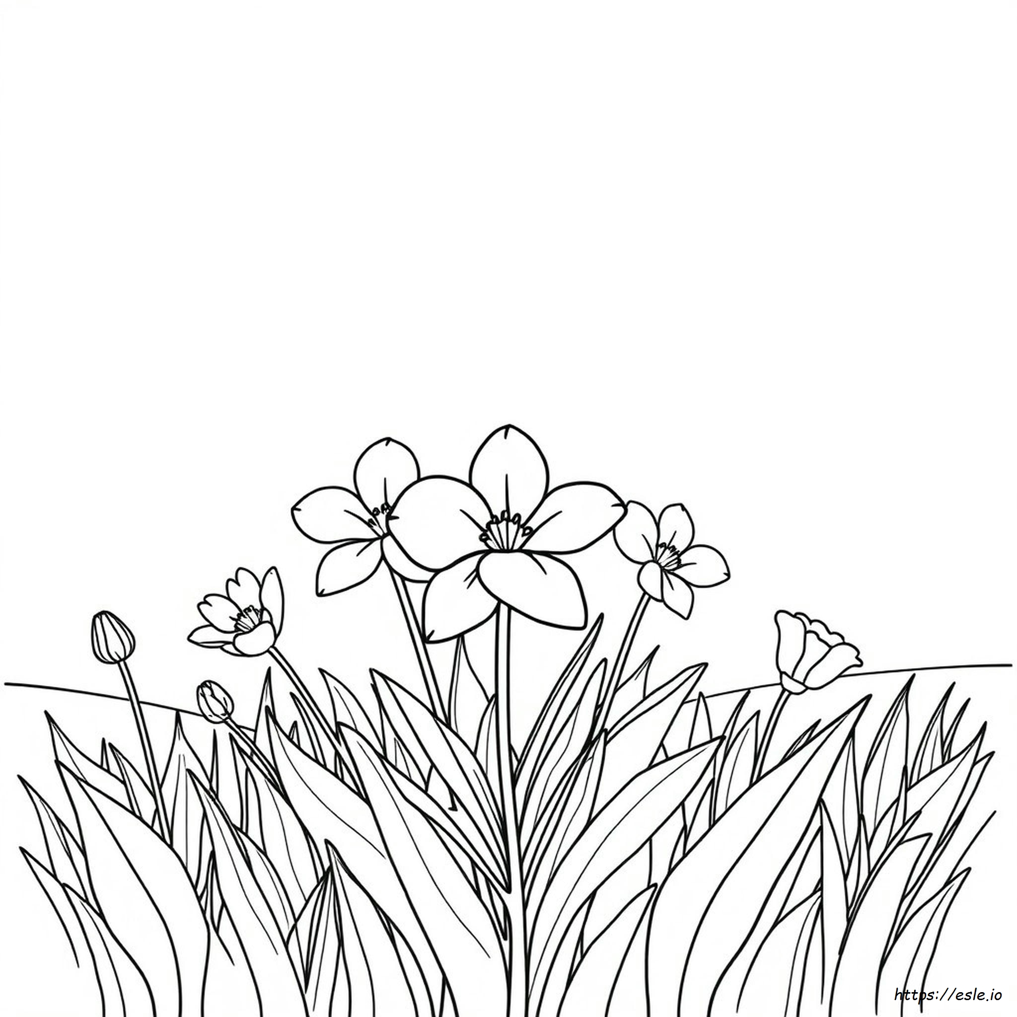 Bloemen Inkleuren In Een Kleurboek kleurplaat