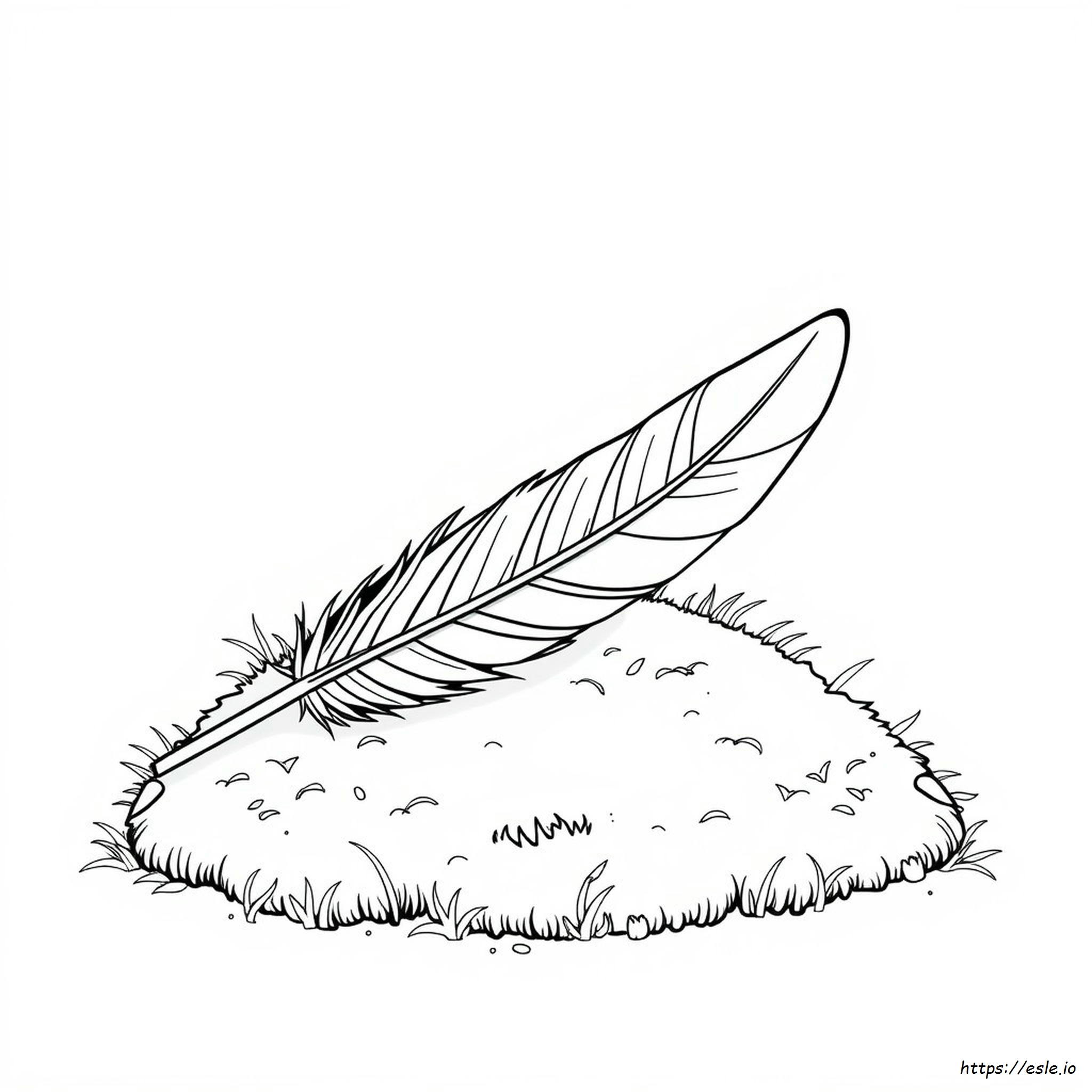 Coloring Page Of A Feather