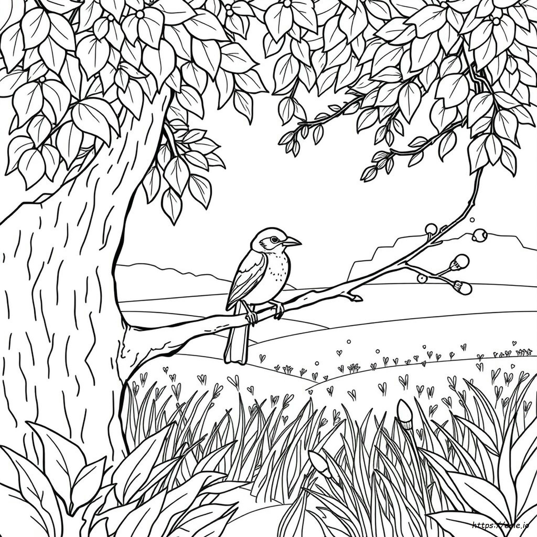 Audubon Ausmalbilder