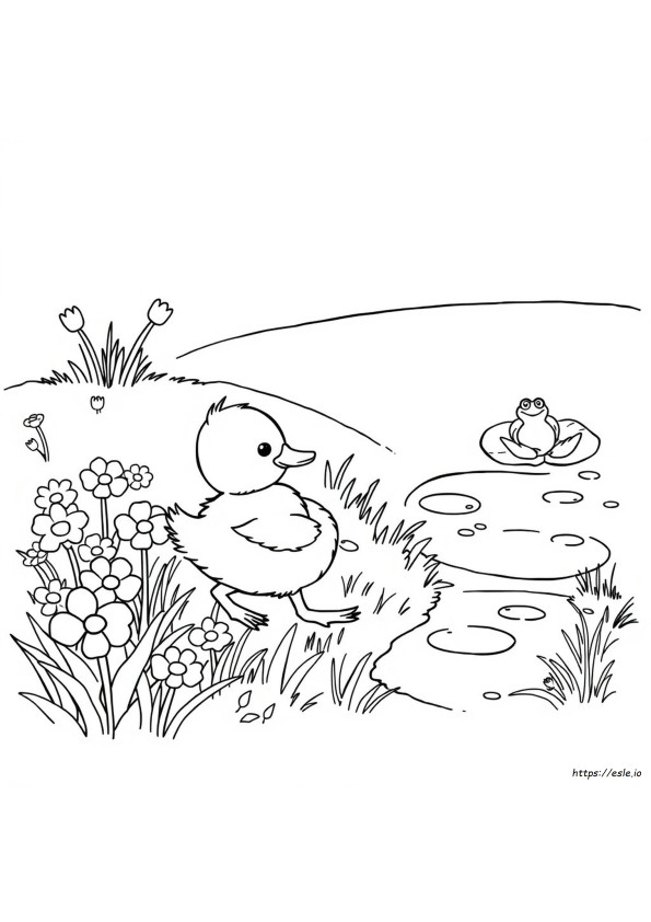 Coloriage Caneton