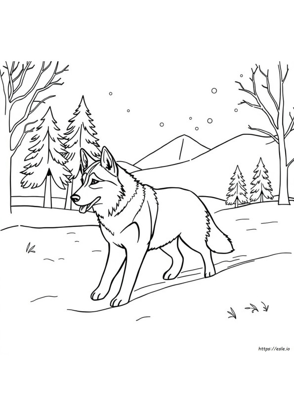 Husky Kolorowanki Do Druku