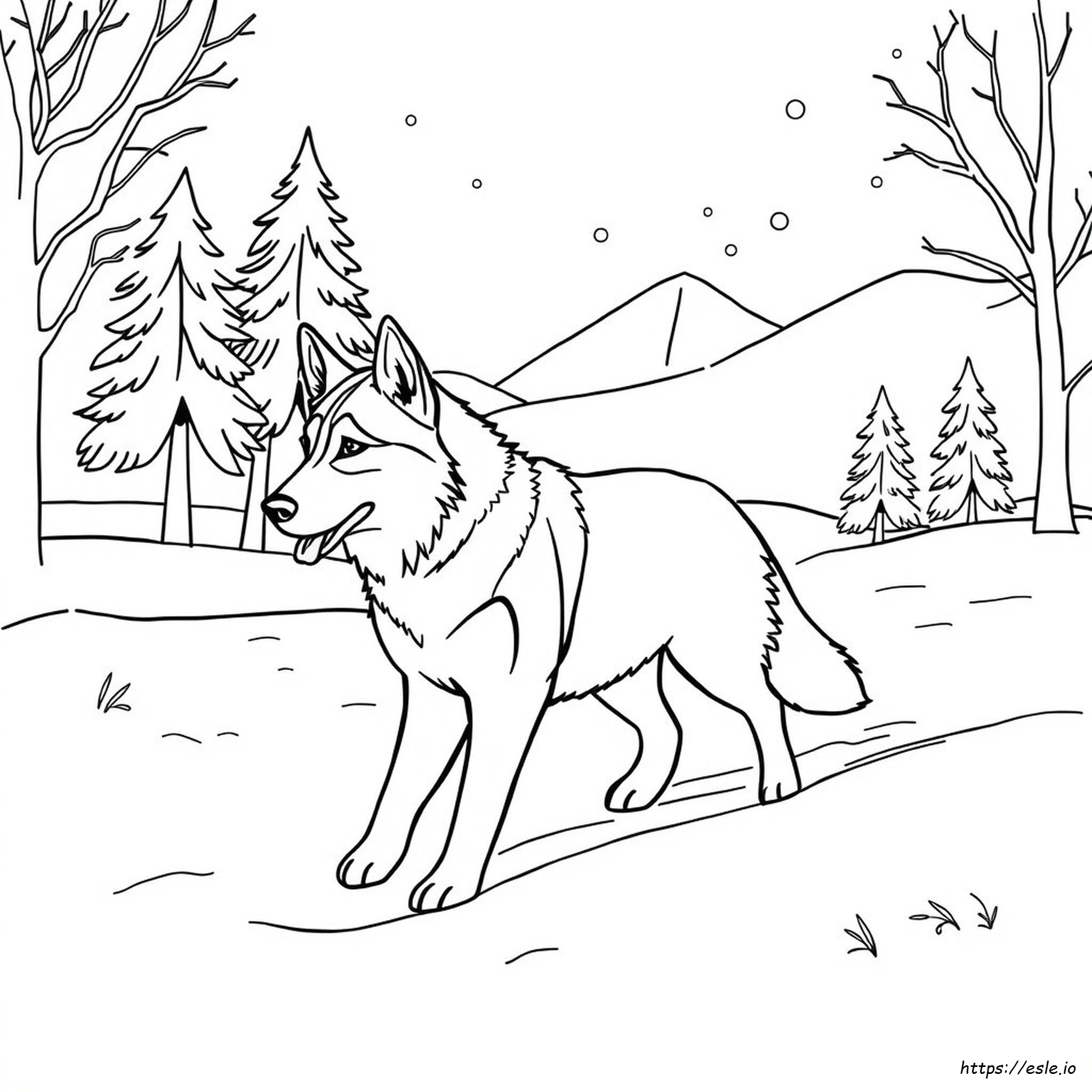 Husky Hond Kleurplaten Printbaar kleurplaat