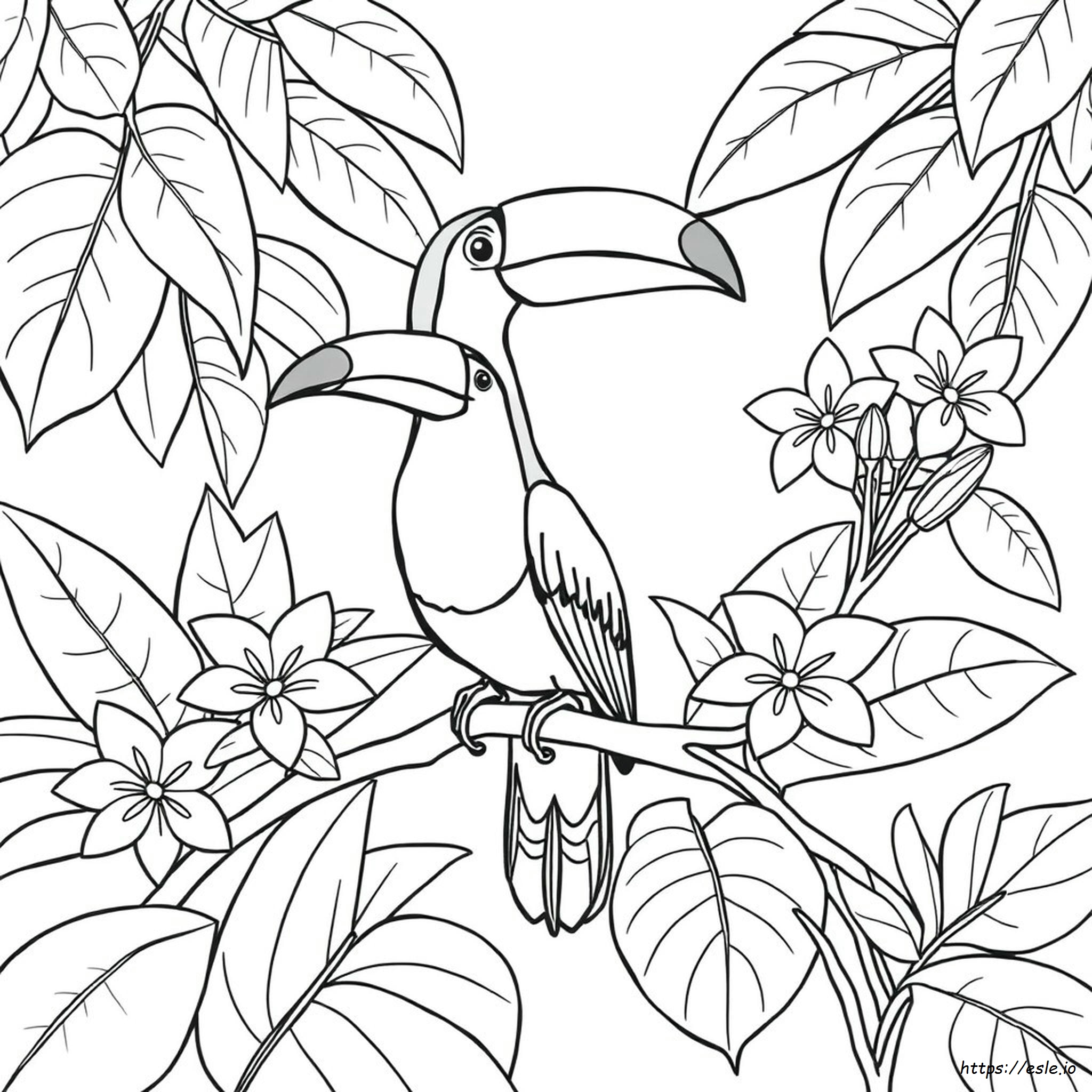 Toucan Colouring Pages