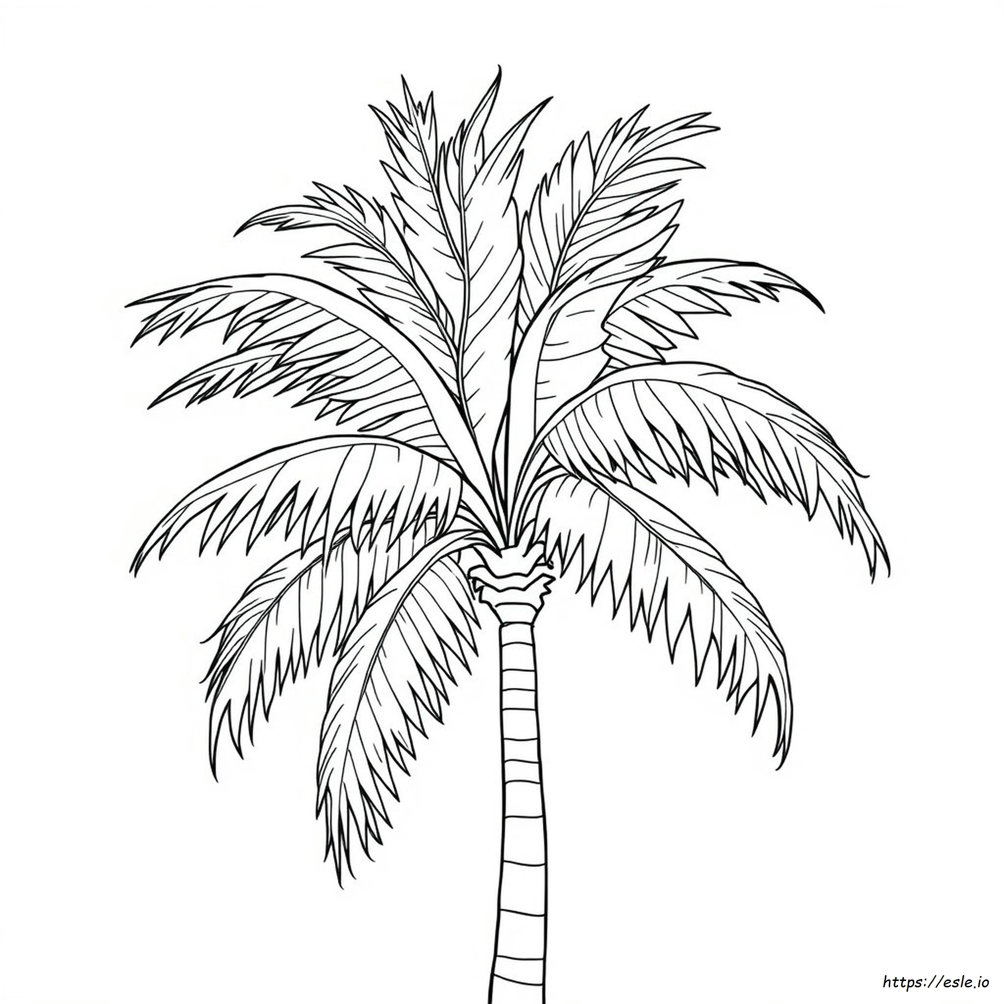 Palmbladeren Kleurplaat kleurplaat