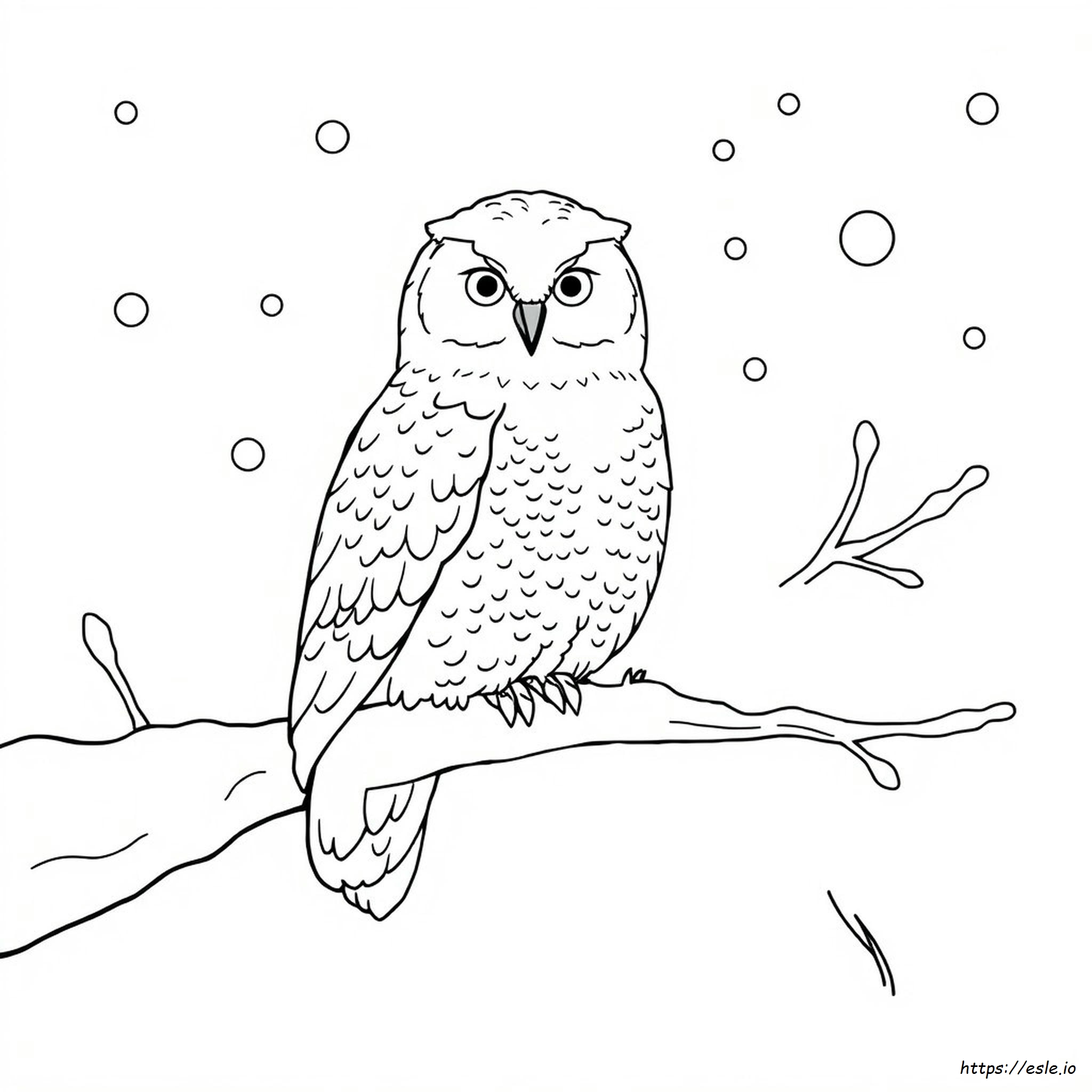 Snowy Owl Coloring Page Printable