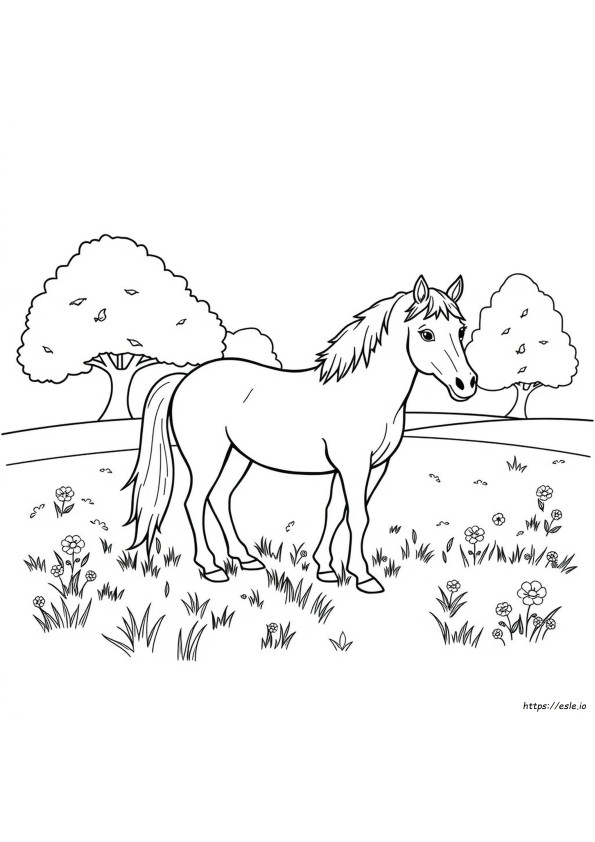 Horsecoloring Pages