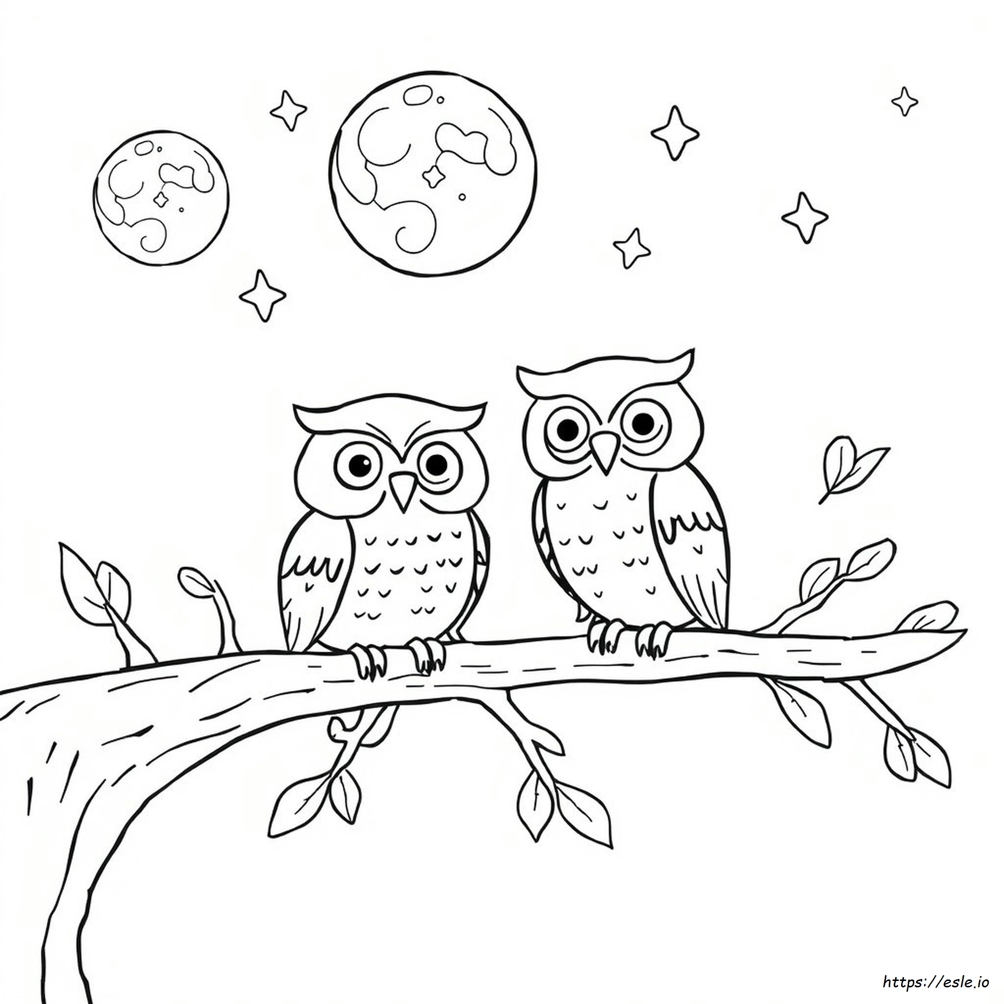 Coloring Page Of An Owl