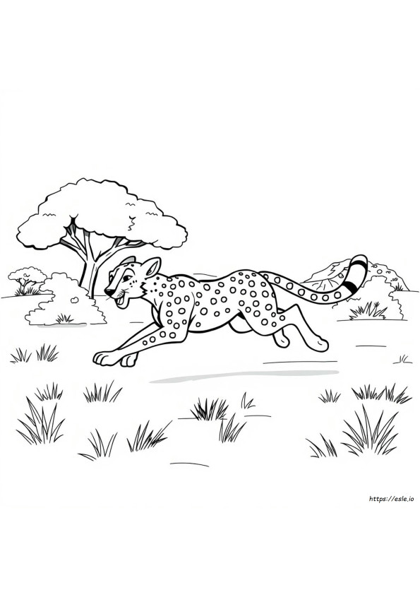 Ghepardo Cartone Animato Da Colorare