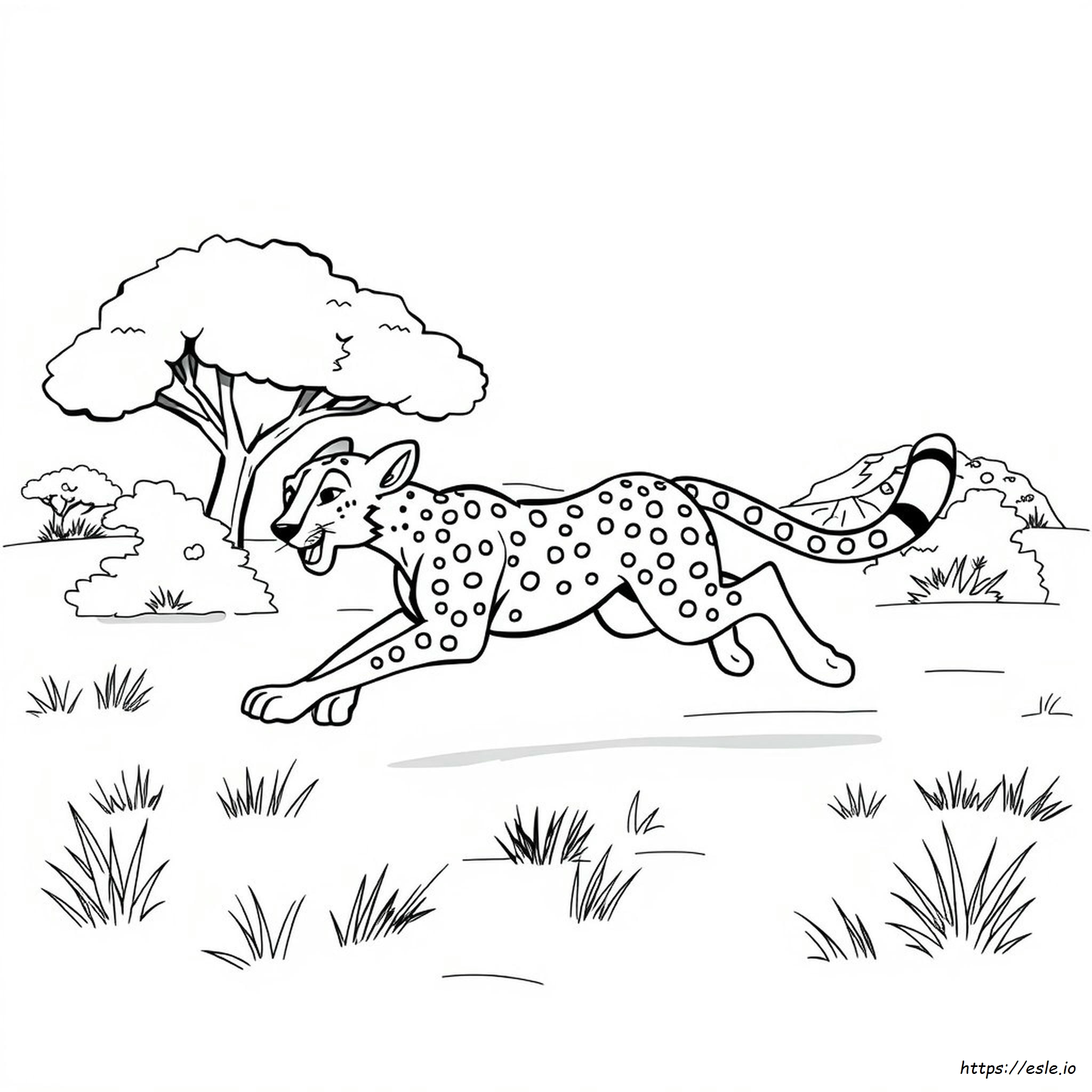 Cartoon Cheetah Coloring Pages