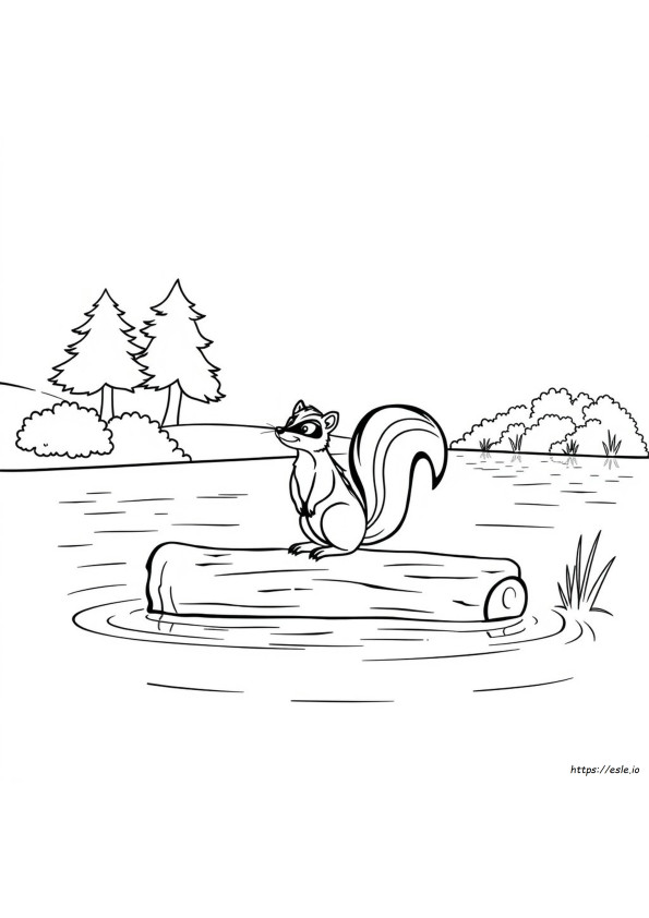 Skunk Fu: Dibujos Para Colorear