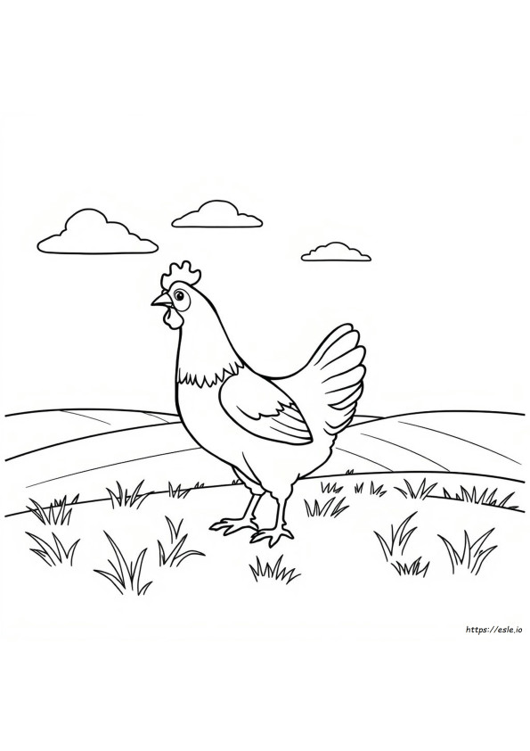 Coloring Page Of A Chicken