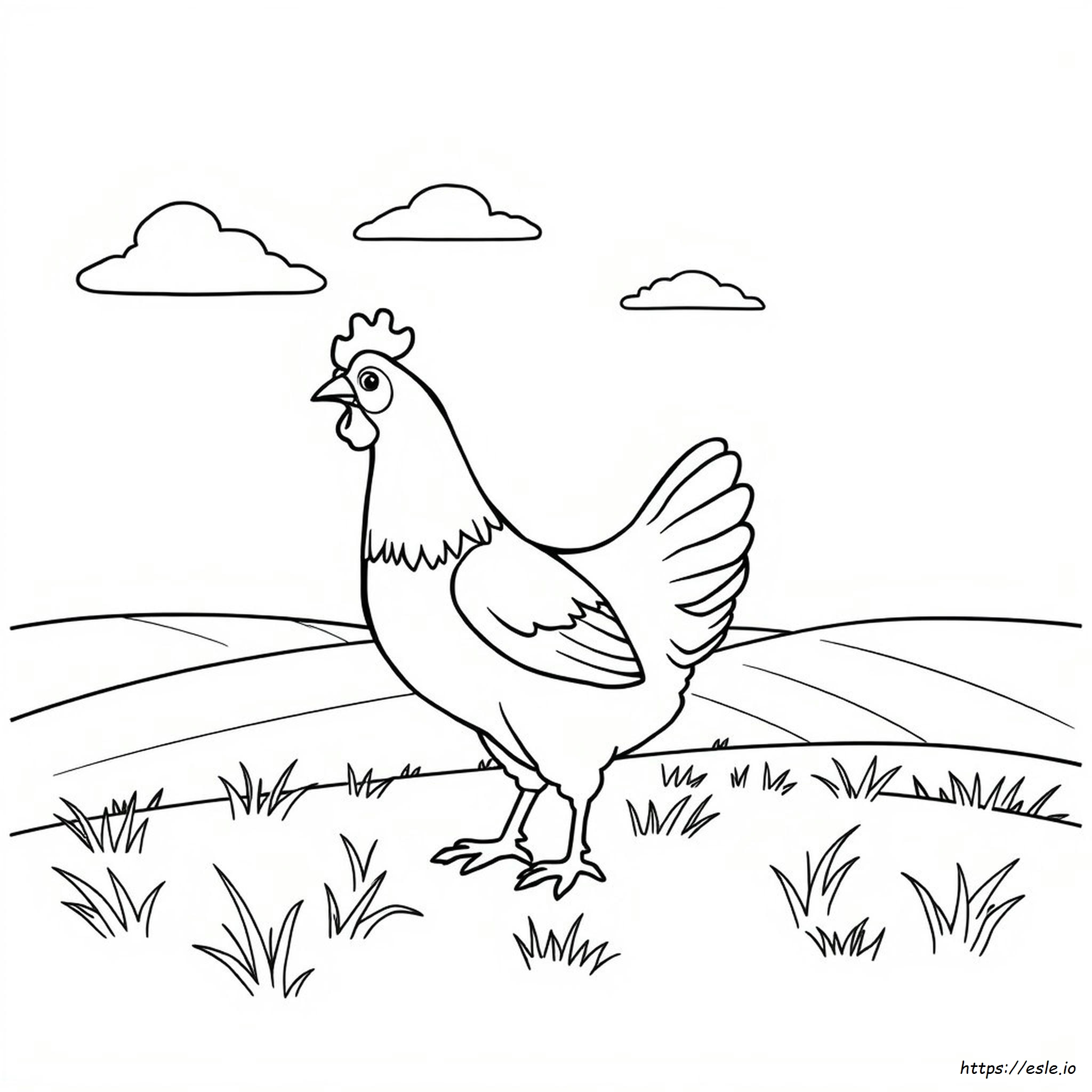 Gallina Da Colorare