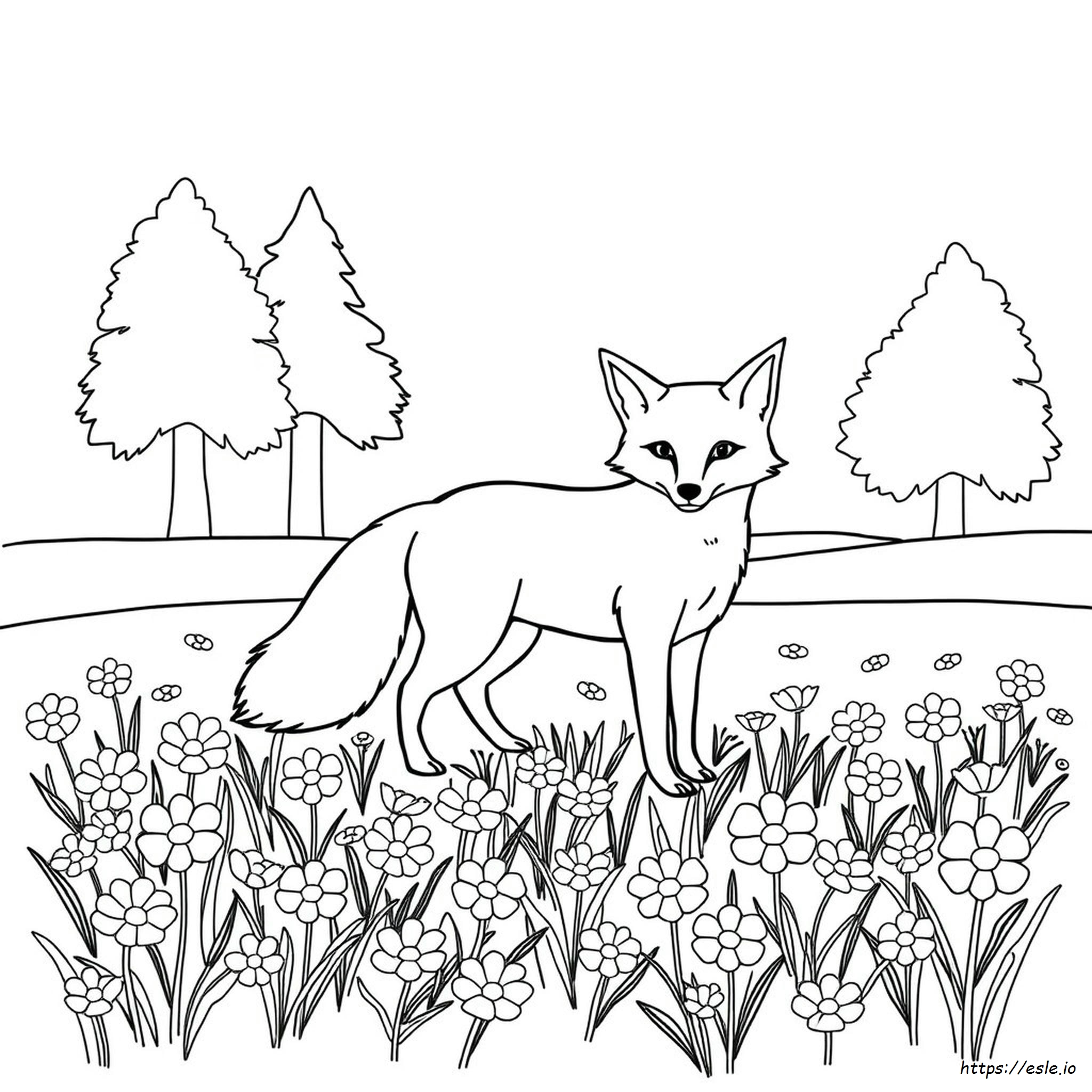 Colouring Pictures Of Foxes