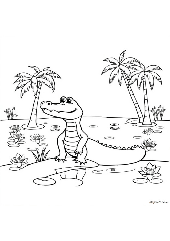 Florida Alligator Kleurplaten Gratis