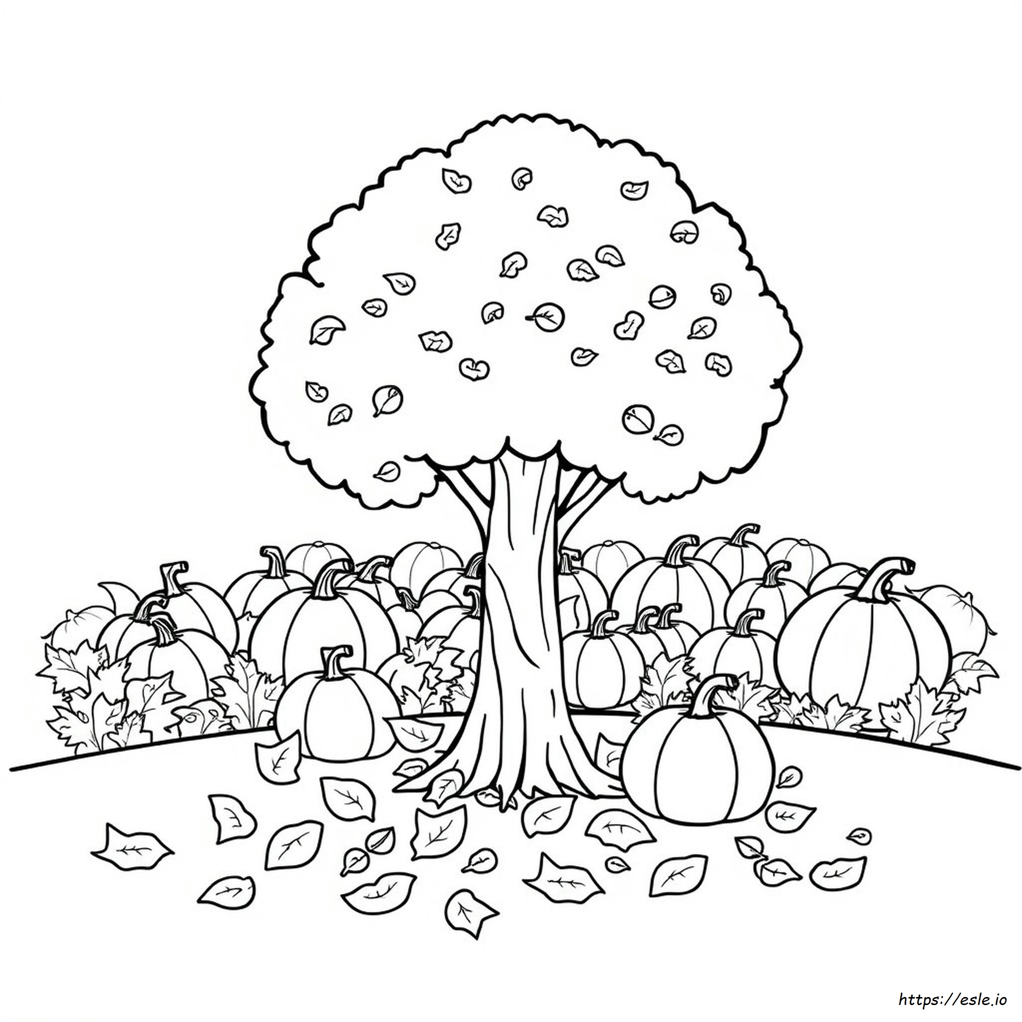 Disegni D'autunno Gratuiti Da Stampare Per La Scuola Dell'infanzia