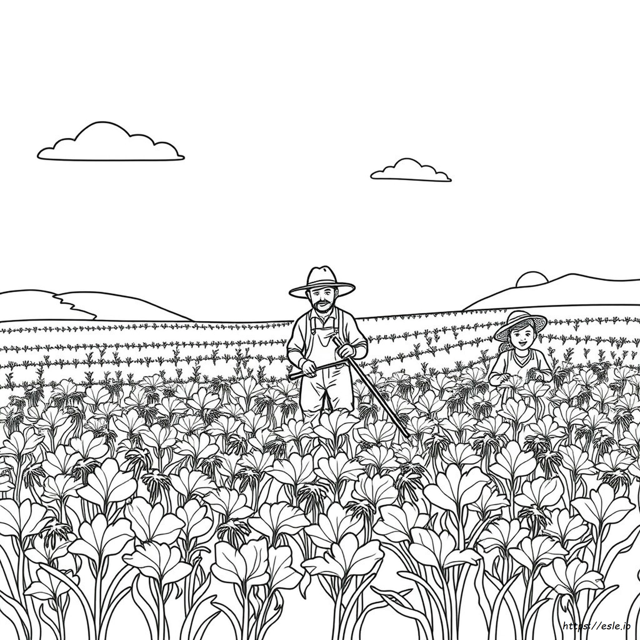 Harvest Coloring Pages Printable