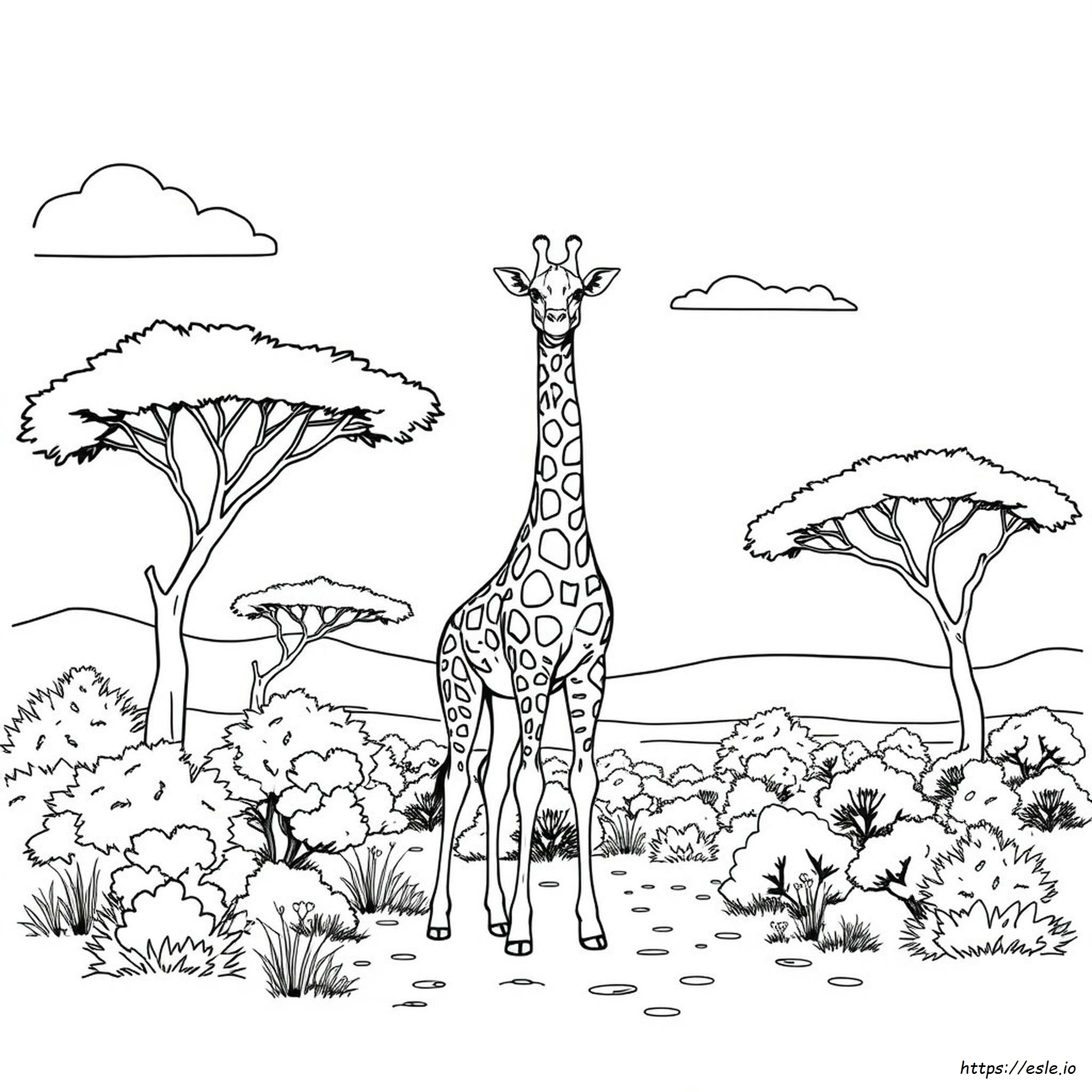 Ausmalbilder Giraffe Zum Ausdrucken Für Erwachsene
