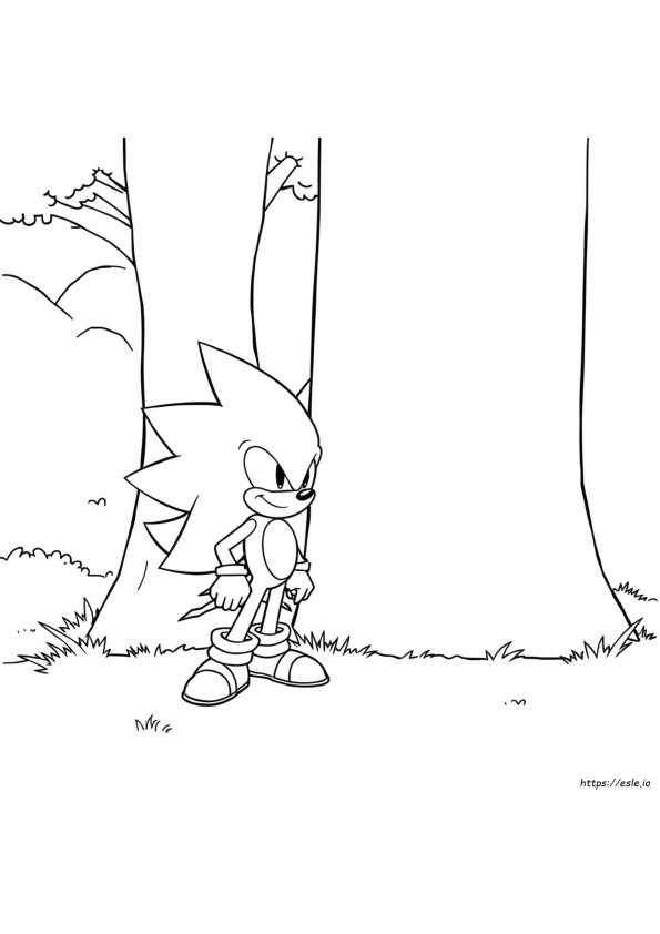Shadow The Hedgehog Malvorlagen