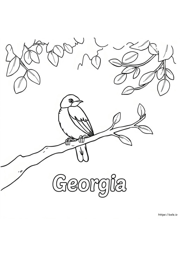 Georgia Állam Madara Színező