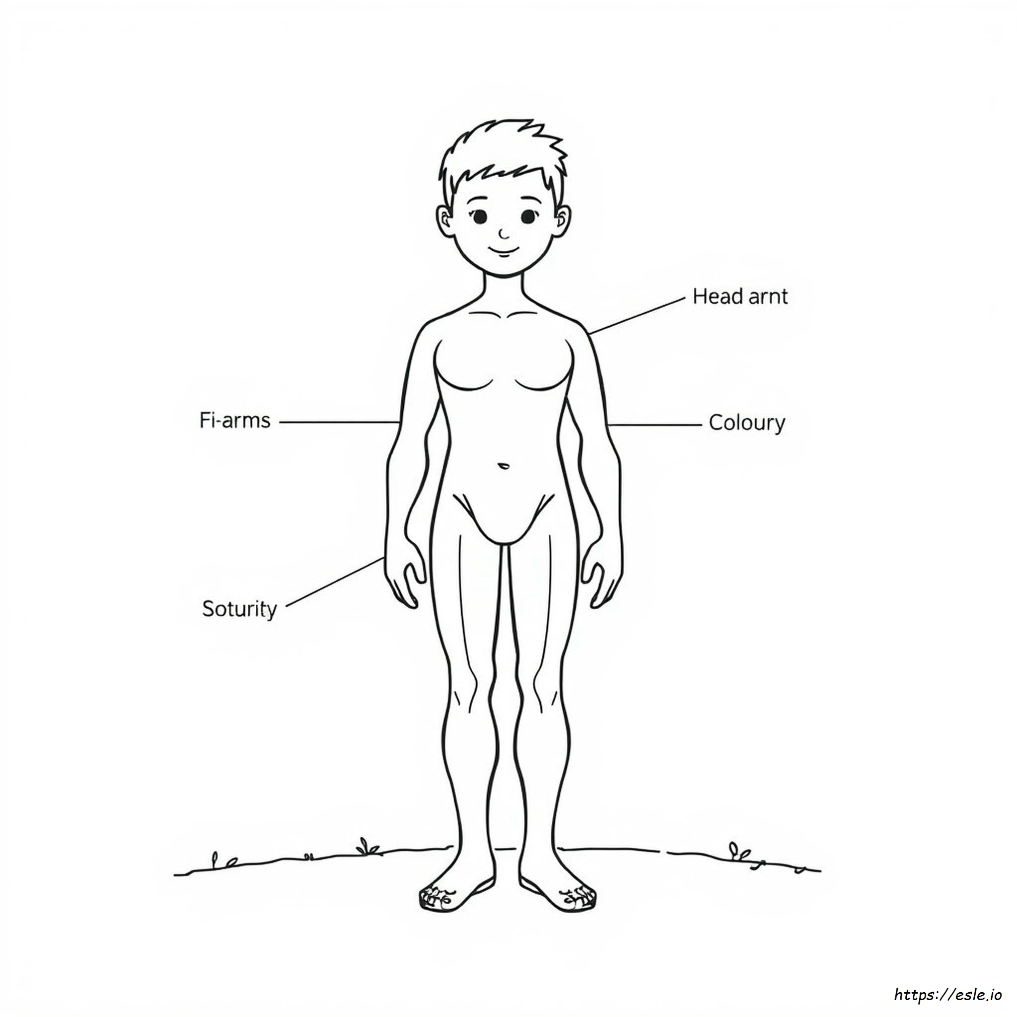 Coloring Pages Parts Of The Body