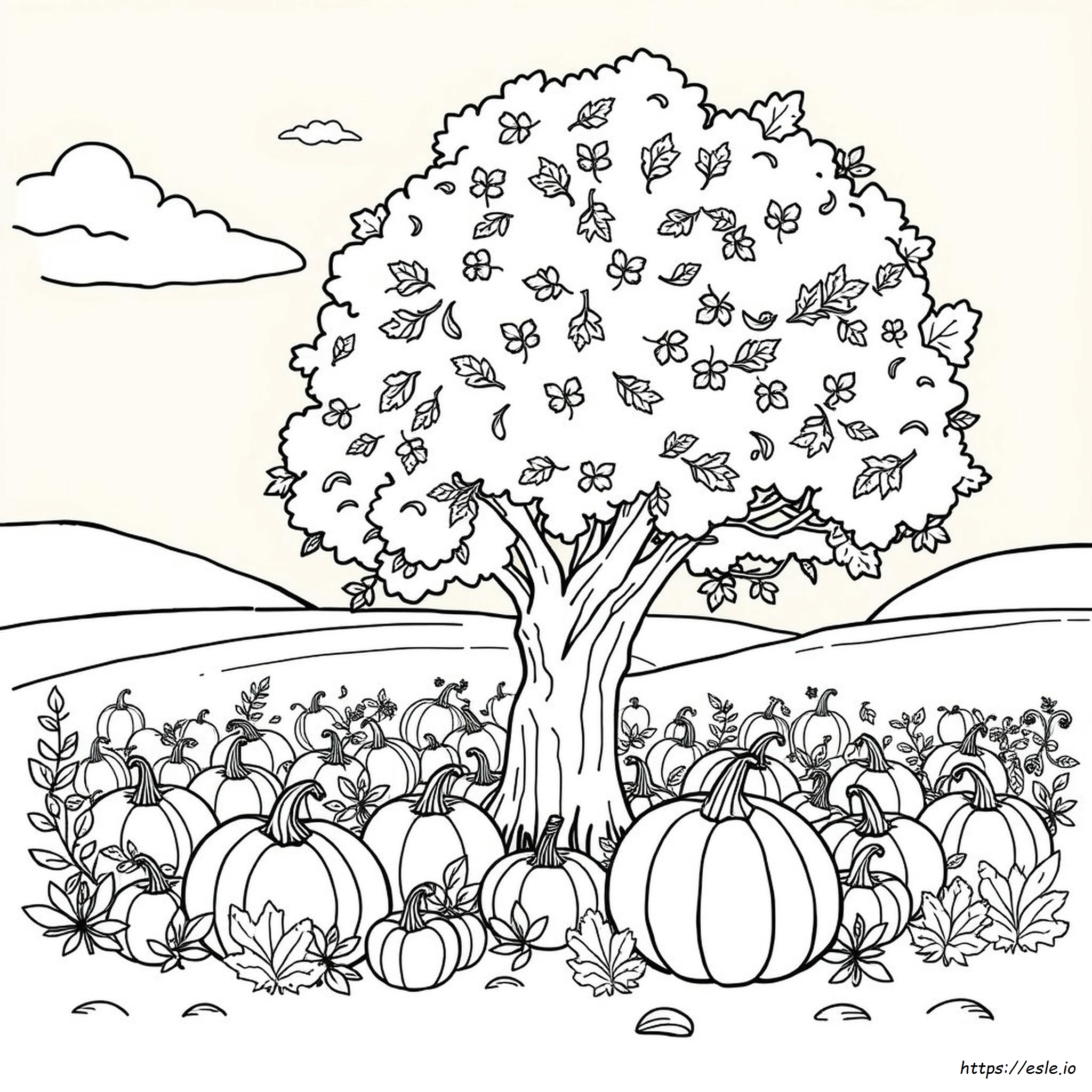 Disegni Da Colorare Di Ottobre Per Bambini