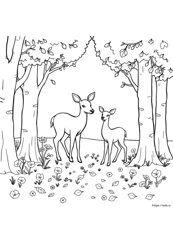 Disegni Da Colorare Del Bosco Stampabili Gratis