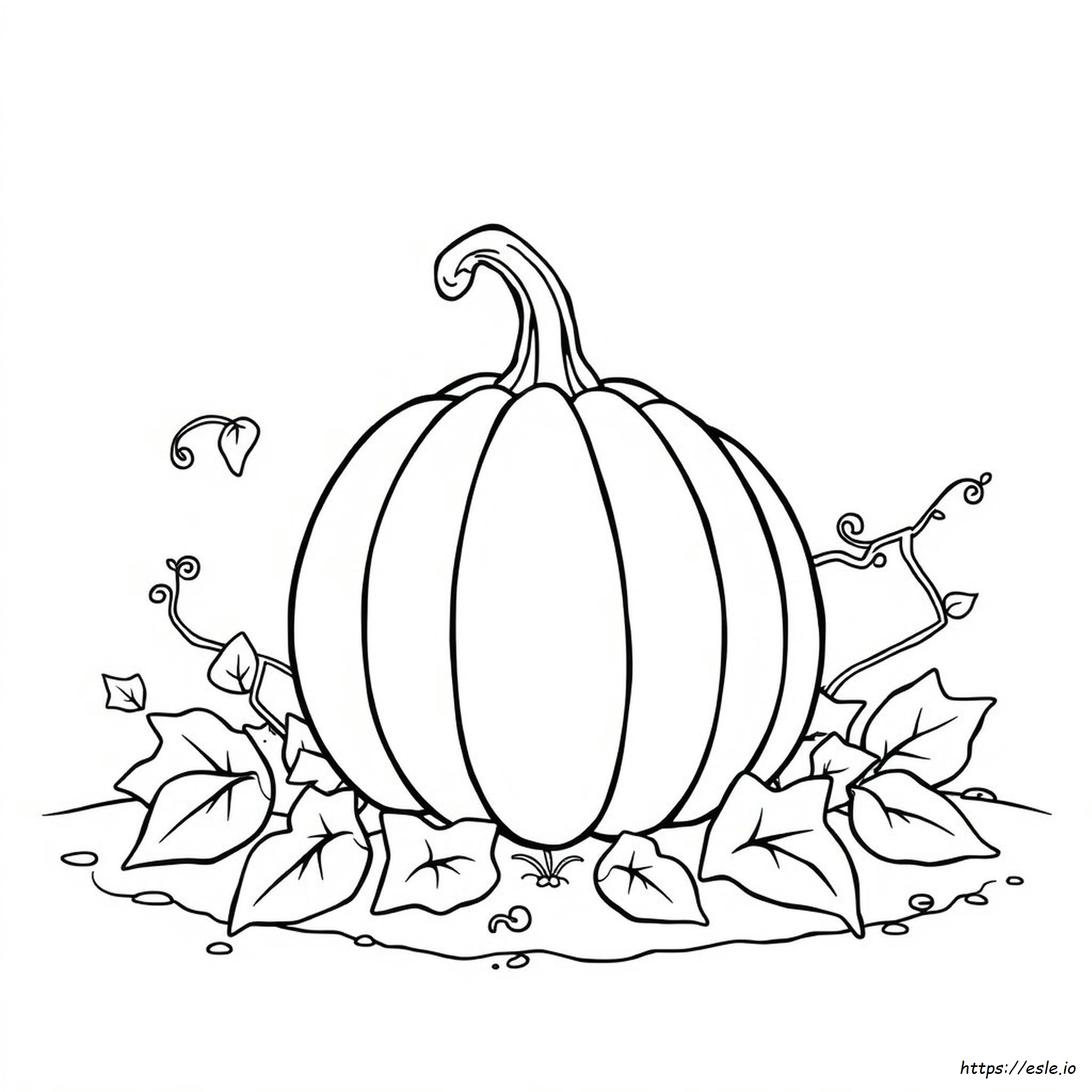 Coloring Picture Of Pumpkin