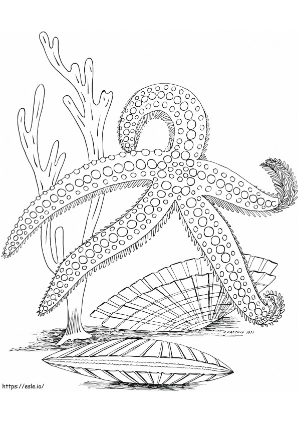 Starfish In The Ocean coloring page