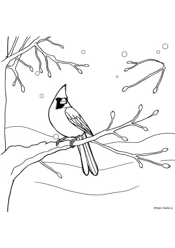 Cardinale Disegni Da Colorare Stampabili Gratis