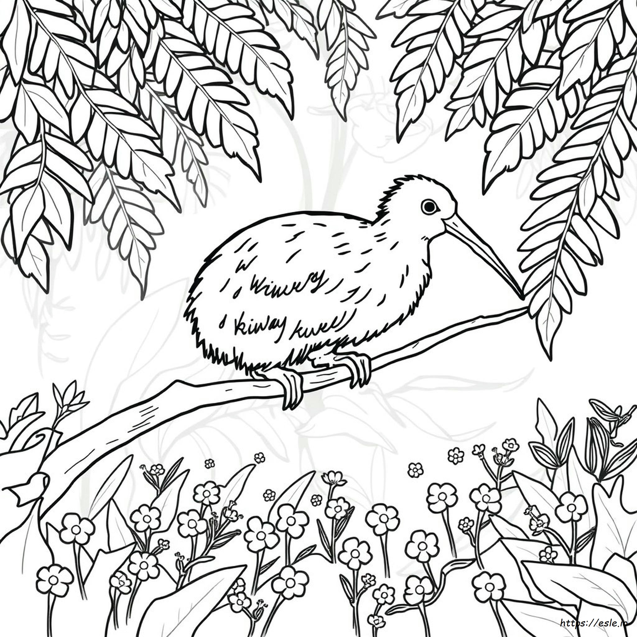 Disegni Da Colorare Di Uccelli Kiwi