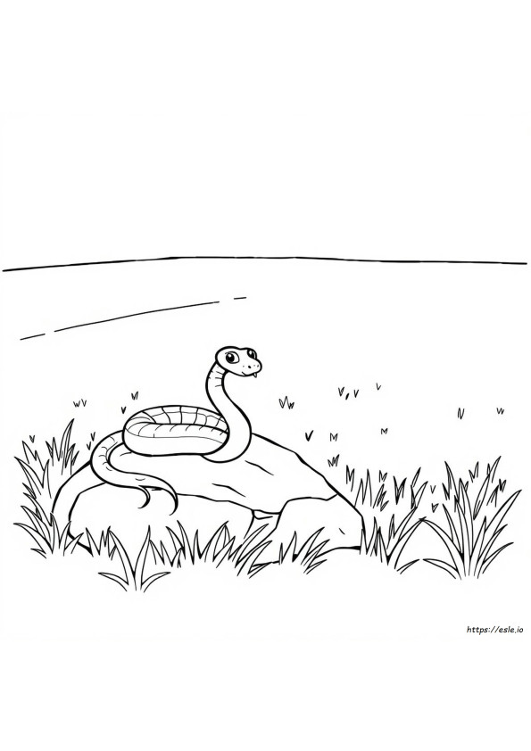 へび ぬりえ