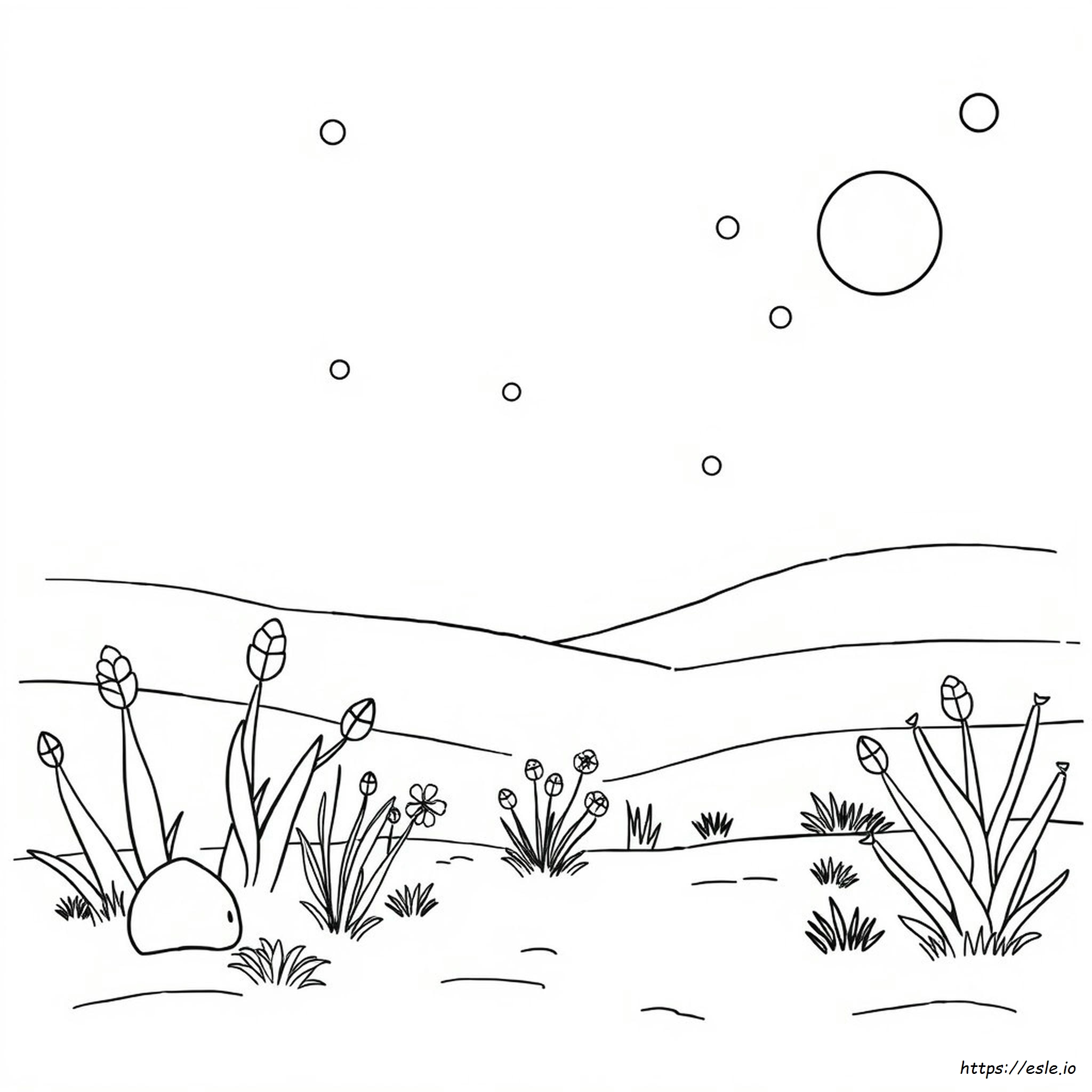 Kleurnamen Tinten kleurplaat