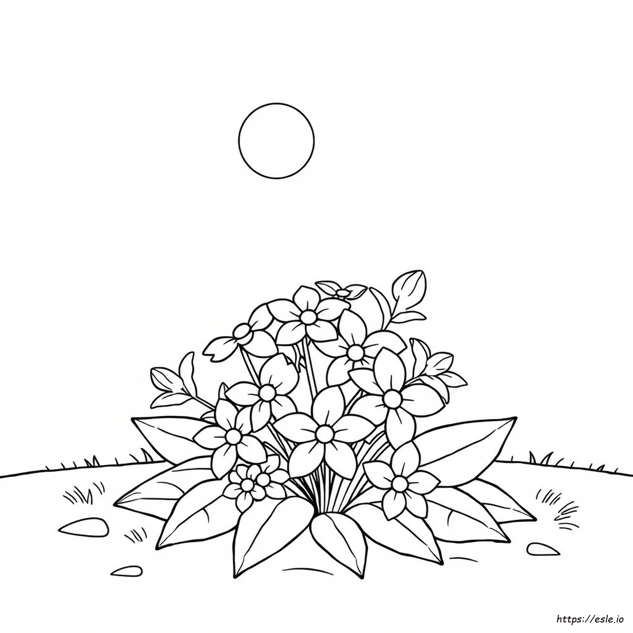 Kleuren Van Bloemenafbeeldingen kleurplaat