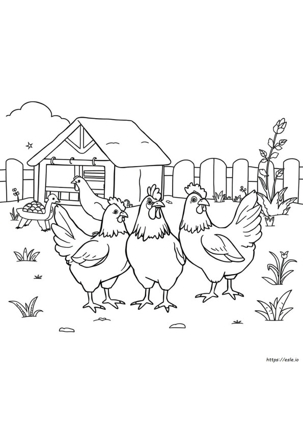 Colouring Pages Of Chickens