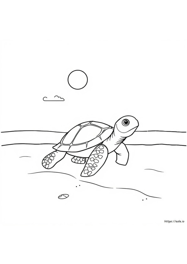 Tartaruga Para Colorir