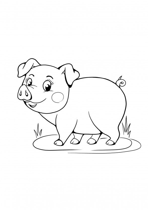 cute pig in the puddle free coloring and printing