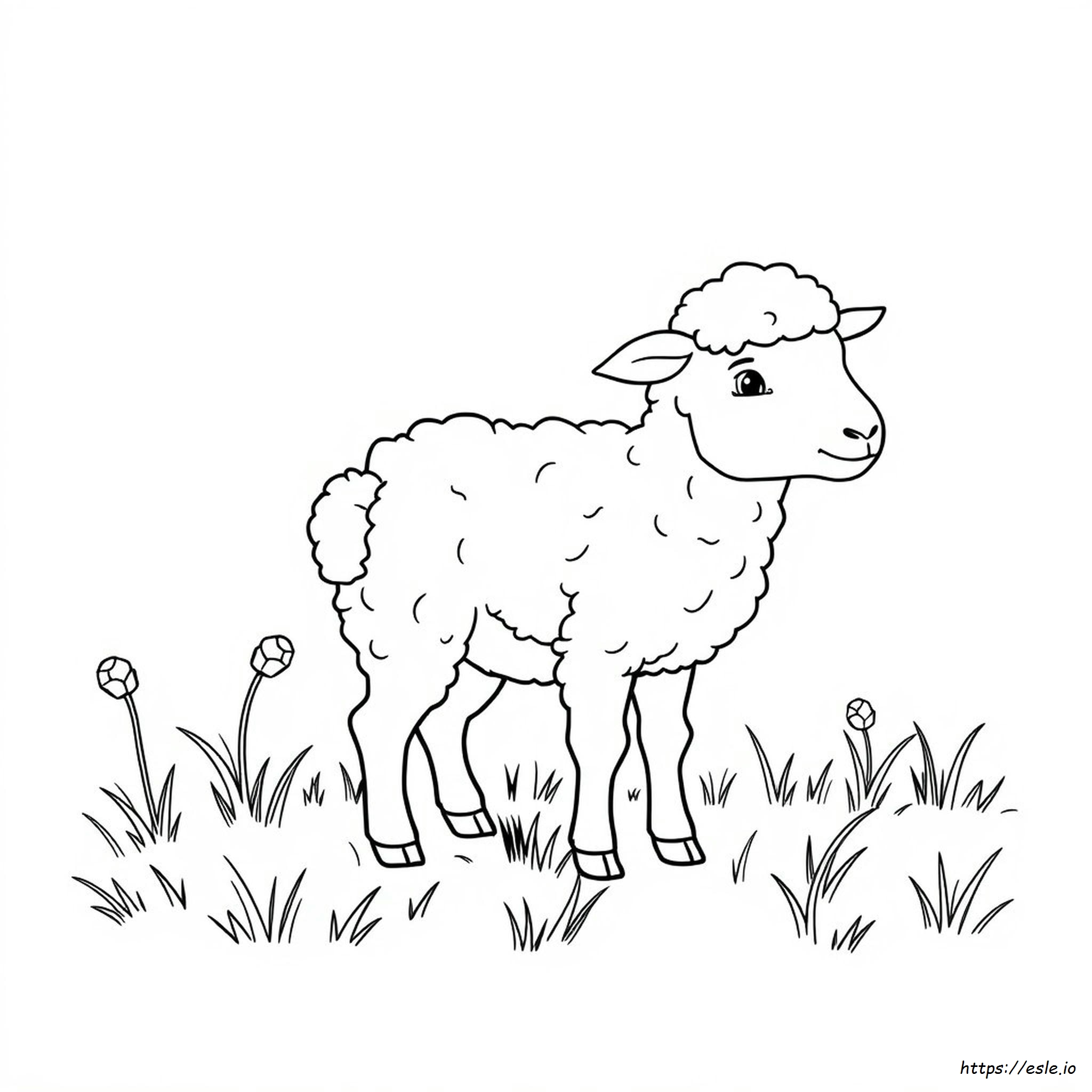 Coloring Page Of Lamb