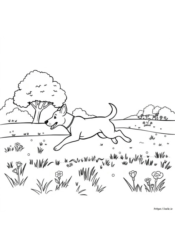 Koşan Köpek Boyama Sayfası