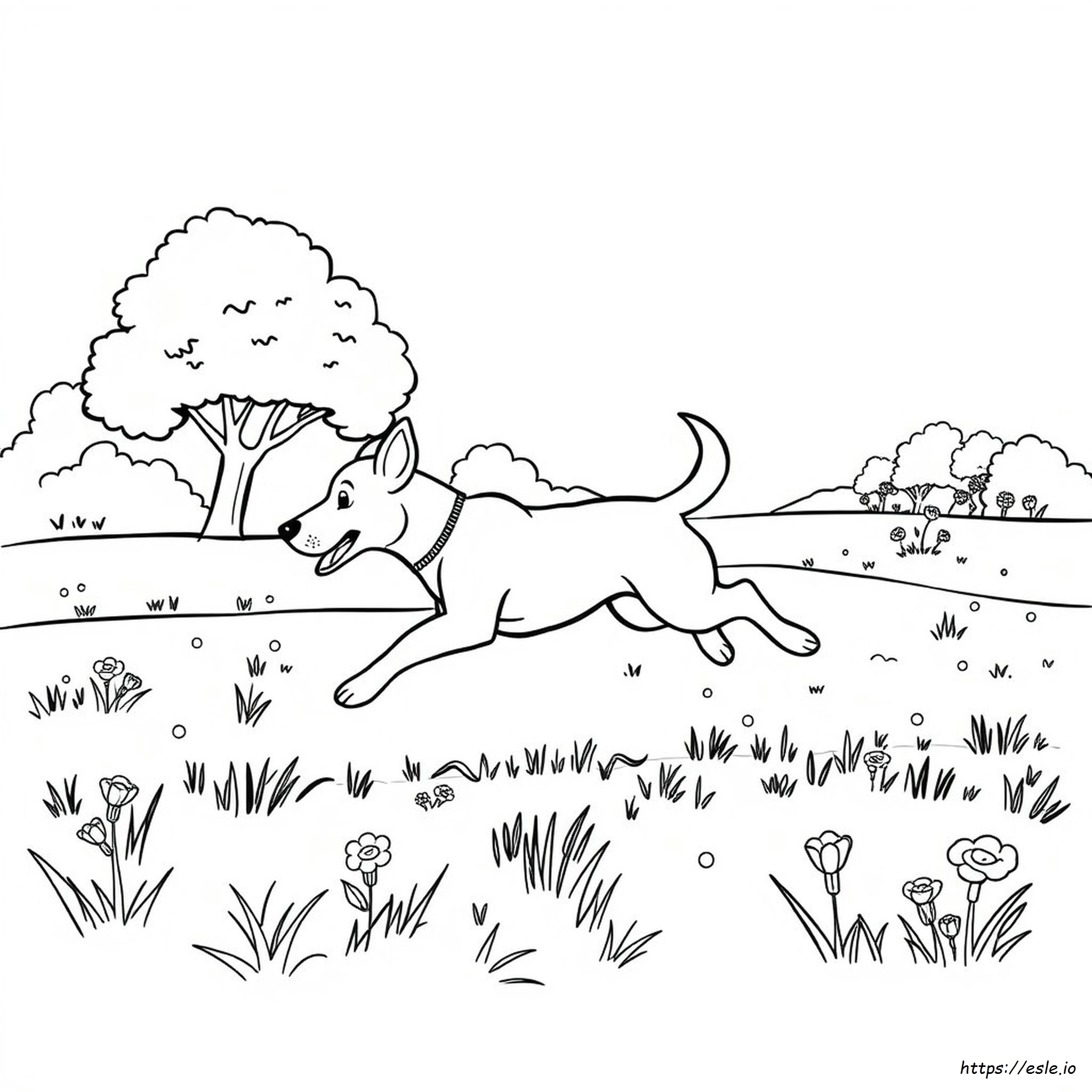 Cane Che Corre Da Colorare
