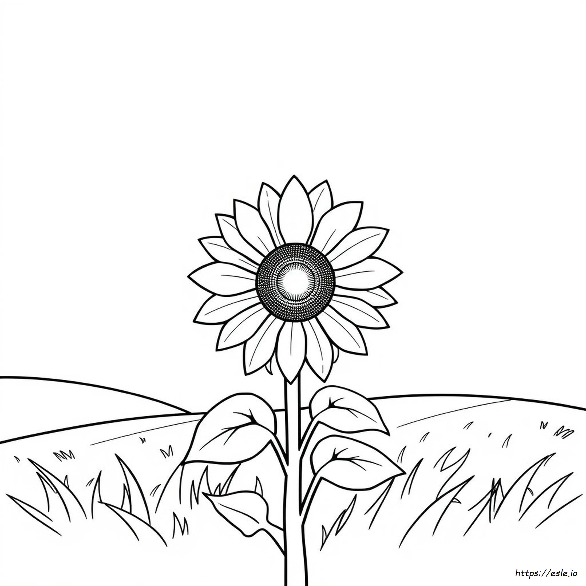 Zonnebloem Kleurplaat kleurplaat